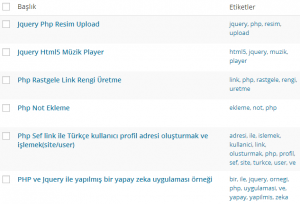 Eklentisiz WordPress’te Otomatik Etiket Oluşturmak