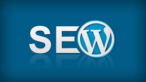 Eklentisiz WordPress Meta Etiketi ile Seo Oluşturmak